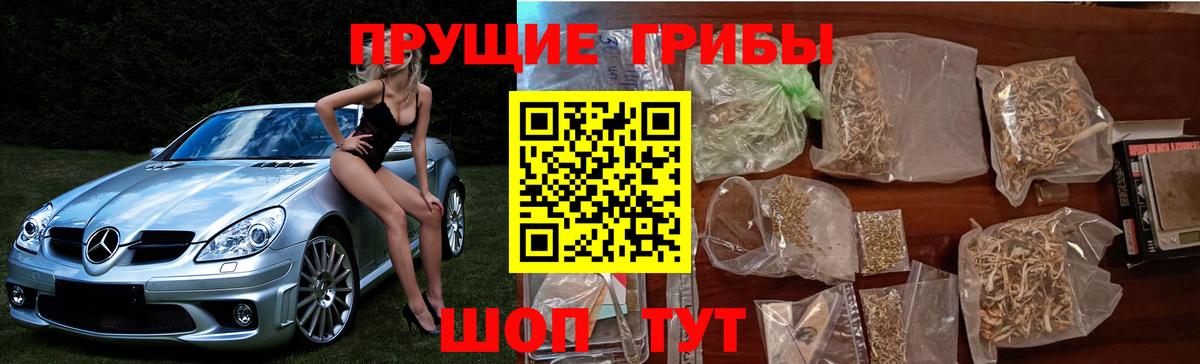 Псилоцибиновые грибы Cubensis Кириши
